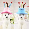 thumbnail image 3 of Sombrero de cumpleaños para mascotas Sombrero de perro de felpa corto ajustable como pastel de cumpleaños Se adapta a la mayoría de los perros y gatos Ormromra 220541-2, 3 of 8