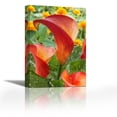 thumbnail image 1 of Calla Lily captain safari variety flowers - Contemporary Fine Art Giclee on Canvas Gallery Wrap - wall décor - Art painting - 22 x 33 Inch - Ready to Hang, 1 of 2