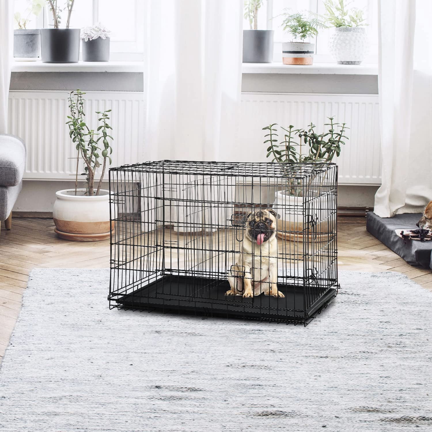 24 Inch Small Dog Crate for Puppy, Metal Wire Pet Cage Indoor Outdoor Use, Foldable Kennel with Divider Panel, Leak Proof Plastic Tray, Black
