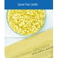 thumbnail image 6 of Certified Glyphosate Residue Free Yellow Lentils | 18 lb Bag | Non-GMO | Kosher | Vegan, 6 of 6