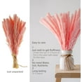 thumbnail image 4 of Viworld 30PCS Dried Pampas Grass Plumes 17 Inch Tall Natural Dried Plants Artificial Faux Reed Flower Stems Bunch for Wedding Home Vase Decor, Pink, 4 of 6