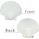 thumbnail image 2 of Natural White Scallop Shells 6-Piece Set for DIY Craft Decor, Baking and Beach Party Serving, 2 of 4