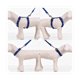 thumbnail image 5 of 3 unids/set Collar para perro, arnés y correa, collar ajustable, 5 of 8