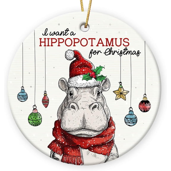 I Want A Hippopotamus for Christmas Ornament 2025 - Hippo Gifts for Women Friends Coworkers, Funny Hippo Ornament as Christmas Tree Decorations, Funny Animal Lovers Gifts for Man Woman undefined