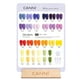 thumbnail image 2 of Set de esmaltes de uñas en gel CANNI, 30 unidades, 9 ml, sin Hema, LED, 2 of 9