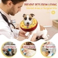 thumbnail image 2 of Supet Inflatable Dog Cone Collar Alternative After Surgery, Doggie Neck Donut Collar Recovery, Soft Dog Cone for Small Medium Large Dogs, 2 of 6