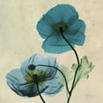 thumbnail image 2 of Koetsier, Albert 12x12 Gold Ornate Wood Framed with Double Matting Museum Art Print Titled - Iceland Poppy, 2 of 4