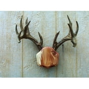 The Cedar The Deer Stand Antler Mounting Kit