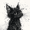 Black Cat Splash Art, variant on Qisvanset Sailboat Sunset Canvas Wall Art 15.75x11.81 INCHES