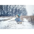 thumbnail image 3 of Zhuge Small Dog Turtleneck Pullover Sweater, Thick Cable Knit Cold Weather Clothes for Chihuahua, Pug & More, M, Grey, 3 of 5