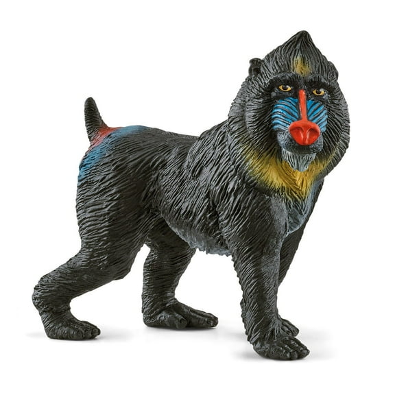 Schleich Wild Life - Realistic Mandrill Monkey Figurine - Authentic and Highly Detailed Wild Animal Toy - Durable Animal Toys for Kids - Kids 3 