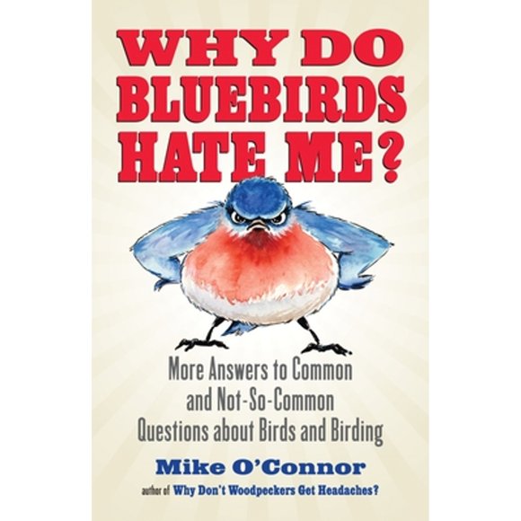 Pre-Owned Why Do Bluebirds Hate Me?: More Answers to Common and Not-So-Common Questions about Birds (Paperback 9780807012536) by Mike O'Connor