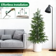 thumbnail image 2 of AKDSteel 2-Piece Artificial Twinkle Christmas Cypress Tree Set, Pre-Lit Sparse Norfolk Pines For Indoor Holiday Decor, 2 of 9