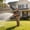 Garden Watering Spray Gun Under $5 a2, variant on CQCYD Garden Watering Sprinkler Head, Vegetable Watering Tool, Spray Gun for Watering Flowers, Adjustable Spray Patterns, Ergonomic Garden Sprayer for Plants, Lawn and Outdoor Irrigation