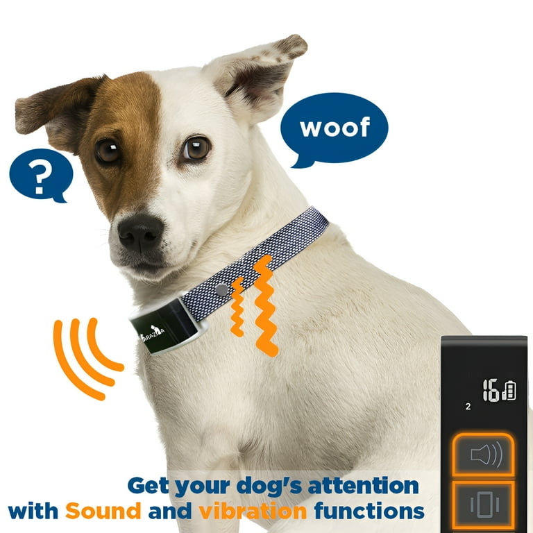 E collar for dogs walmart discount