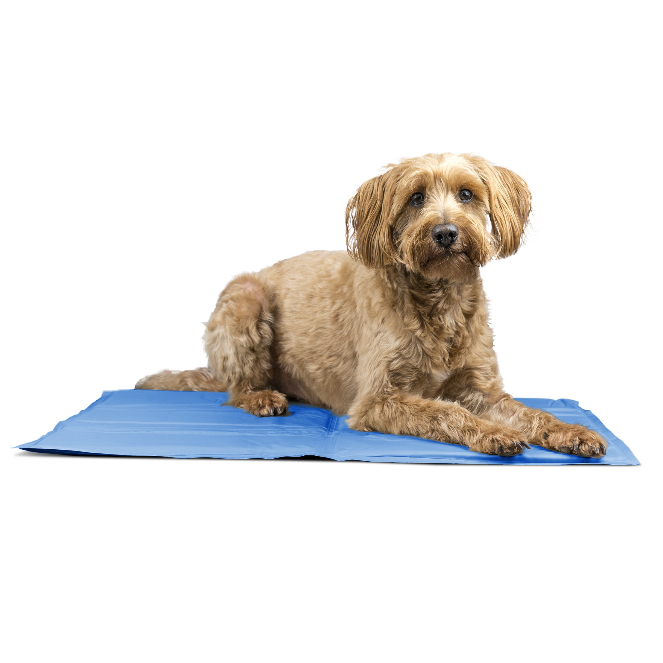 furhaven pupicicle cooling gel mat