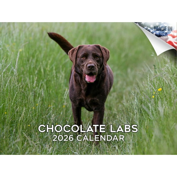 2025 2026 Labrador Chocolate Calendar - Dog Breed Monthly Wall Calendar - 12 x 18 Open - Thick No-Bleed Paper - Giftable - Made in USA