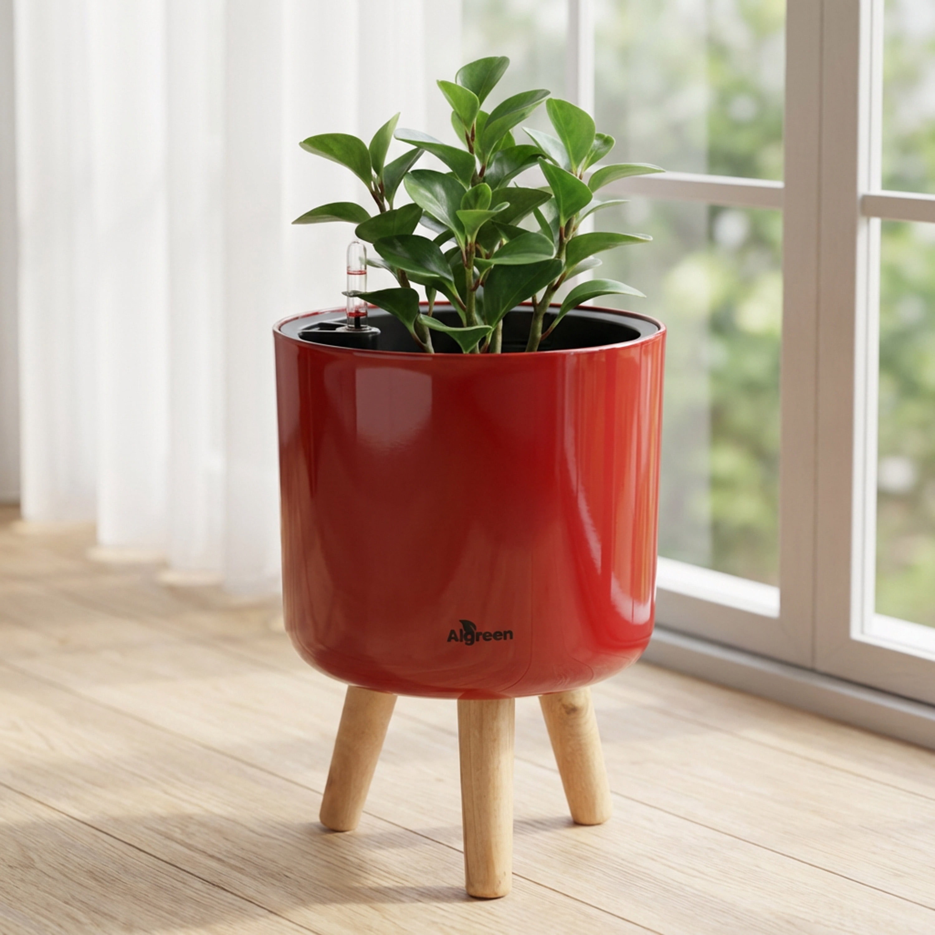 Algreen Modena 8.5" Self-Watering Planter with Stand, Gloss Red