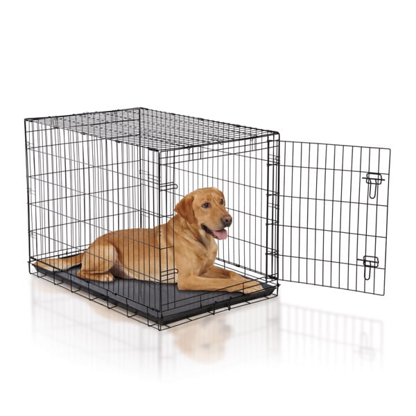 ProSelect Easy Crate Single Door Metal Dog Crate, Large, 42"