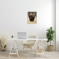 thumbnail image 2 of Stupell Industries Wild American Bison Grazing Rustic Tall Grass, 16 x 20, Designed by Larry McFerrin, 2 of 7