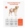 thumbnail image 2 of Male Dog Diapers - Disposable Dog Wraps for Male Dogs, 144 Count, 2 of 9