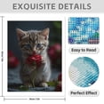 thumbnail image 3 of Diamond Art Kit for Adults, Kitten Holding Red Rose Diamond Painting for Adults Beginners, 5D DIY Diamond Art Painting Kits, Colorful Diamond Painting Craft for Home Decor 12x16, 3 of 7
