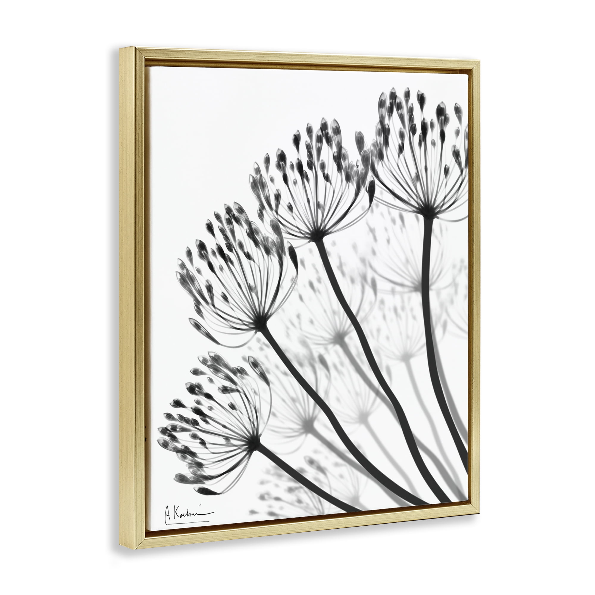 Stupell Industries Floral Fan Dandelions Gold Framed Floater Canvas Wall Art, design by Albert Koetsier
