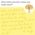 thumbnail image 6 of Dr. Sniff Always Be Wax Free Ear Wash, 6 of 6