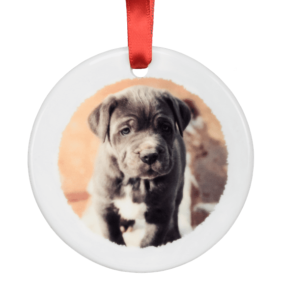 Same Day Ceramic Disc Ornament