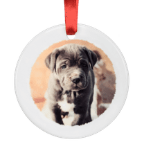 Same Day Ceramic Disc Ornament