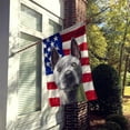 thumbnail image 2 of Carolines Treasures CK6738CHF Thai Ridgeback American Canvas House Flag - 28 x 0.01 x 40 in., 2 of 4