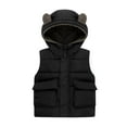 thumbnail image 2 of Hicidod Toddler Down Vest Cute Bear Ears Hooded Zipper Warm Baby Jacket Fleece Lined Windproof Puffer Vests for Winter Fall Spring, 2 of 6