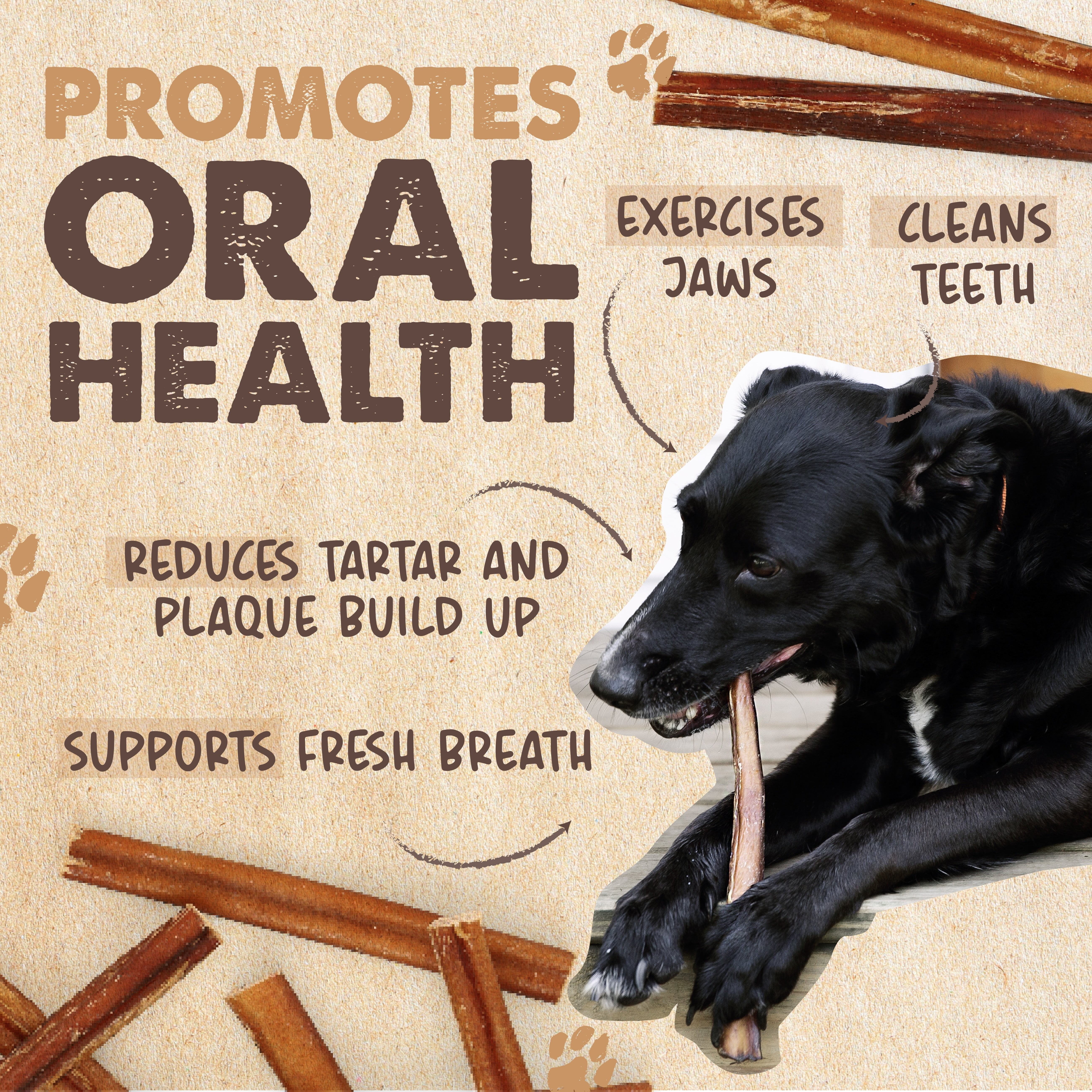 Mighty Paw Naturals Bully Sticks, All-Natural Protein Dog Treats for Dental Health, Large Dogs (12" Standard, 5 Pack)