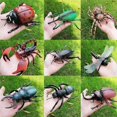 thumbnail image 2 of Insect Simulation Model Toys Simulation Wildlife Model Ornaments Creepy Lifelike Fake Spiders Cricket Ladybug Grasshopper Ant Dragonfly Realistic Inse, 2 of 4