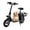 Black (Original), variant on WINDHORSE 16" Electric Scooter with Seat for Adults 20mph 40-mile, Foldable 2-Seat E Scooter with Openable Side Door Basket Pet Friendly for Shopping