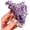 0-10g, variant on Grape Agate Crystal Cluster, Natural Botryoidal Chalcedony Mineral Specimen, Purple Irregular Geode Stone for Home Office Decor Collection(0~10G)Q