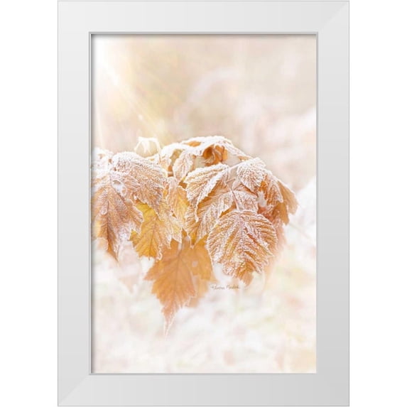 Murdock, Ramona 11x14 White Modern Wood Framed Museum Art Print Titled - Frosted Leaves