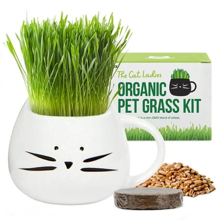 UPC: 0053722010277 | The Cat Ladies Organic Cat Grass Kit – Seed Mix Soil Cat Planter – Natural Hairball Control