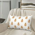 thumbnail image 4 of Plush Throw Pillow Covers, Birthday Capybaras Pillow Cases with Invisible Zipper, Breathable Microfiber Pillow Cases Standard Size for Sleeping Bedroom Sofa Living Room 20x30, 4 of 5