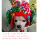 thumbnail image 3 of Vestido de año nuevo, vestido para mascotas, ropa para perros y gatos, ropa para perros, ropa de otoño e invierno, suministros para festivales, chaleco cálido para perros de Navidad, 3 of 5