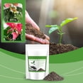 thumbnail image 6 of Njshnmn Succulent Cactus Potting Soil Mix All Purpose Garden Potting Mix For Indoor Outdoor Quick Drain Orchid Bonsai Perlite Soil Ready To Use Resealable Bag Design, 6 of 9