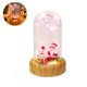thumbnail image 2 of Deseando Streamer Altavoz Bluetooth Musical Led Luz Nocturna Usb Recargable Botella De Vidrio Romántica Lámpara De Noche Regalo Para Niñas Niños Dormitorio Decoración Botella Luz Cateissary HA013154-00, 2 of 7