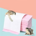 thumbnail image 4 of Necvior Disposable Sugar Glider Hamster Training Pee Pads Super Absorbency Diaper Easy Cleaning Pad for Indoor Outdoor Travel, 4 of 10