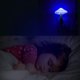 thumbnail image 4 of Paquete de 2 luces LED nocturnas con sensor enchufables, luz nocturna con forma de hongo mágico, lindas luces nocturnas, 4 of 5