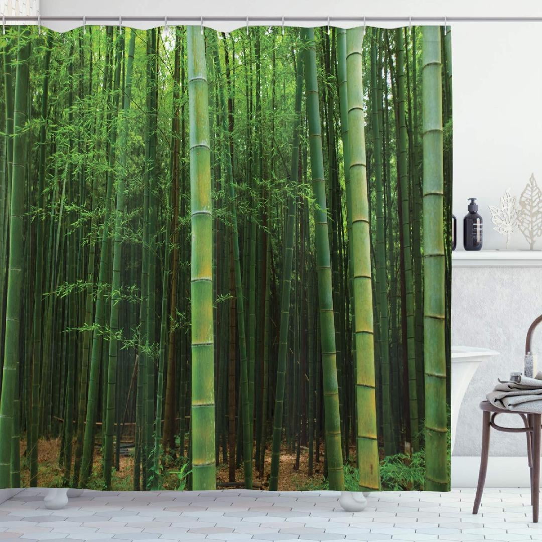 Bamboo Shower Curtain, Picture of a Bamboo Forest Exotic Fresh Jungle