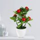 thumbnail image 5 of Simulation Of 7 Pachycarpus Fortunei Large Fruit Bonsai Living Room Coffee Table Decoration Photography Props Wine Cabinet Decoration, 5 of 6