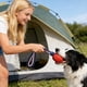 thumbnail image 5 of Pelota de neumático para mascotas con cuerda elástica, juguete de entrenamiento para perros, pelota para masticar y morder, perfecta para juego interactivo, molares de goma., 5 of 6