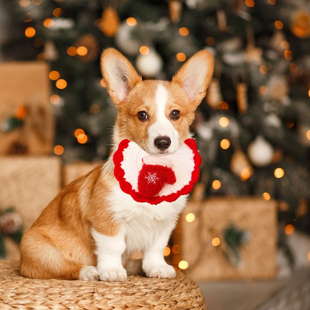 mfyjkho Bufanda de punto para mascotas, cálida y hecha a mano, de poliéster, color rojo, verde y blanco, accesorio navideño para mascotas (1 unidad)