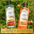 thumbnail image 5 of Acondicionador Herbal Essences Bio Renew Toronja Blanca y Menta 400 ml, 5 of 5