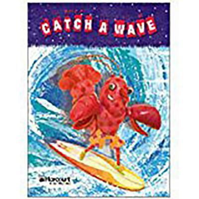 Pre-Owned Storytown: Intervention Interactive Reader Grade 5 Catch the Wave (Paperback) 0153545399 9780153545399